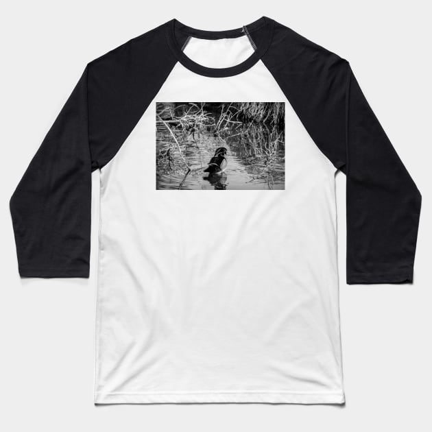 Wood duck in black and white Baseball T-Shirt by CanadianWild418